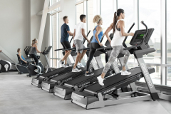 Freemotion Fitness